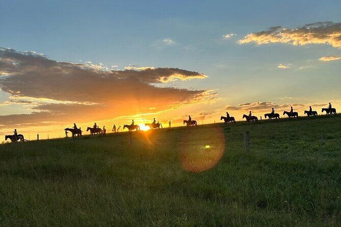 Hunter Valley Sunset Horse Ride - 90 Minutes - Key Points