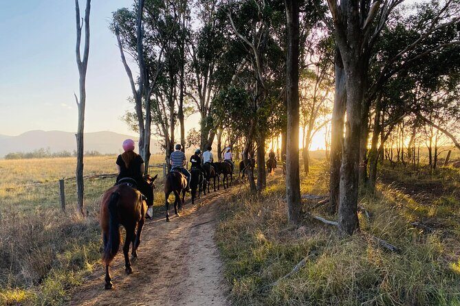 Hunter Valley Sunset Horse Ride - 90 Minutes - An Introduction to the Hunter Valley Sunset Horse Ride
