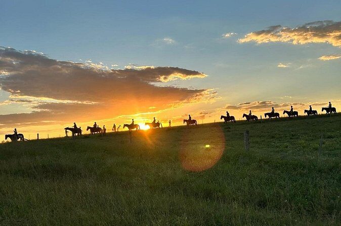 Hunter Valley Sunset Horse Ride - 90 Minutes - What Reviewers Say