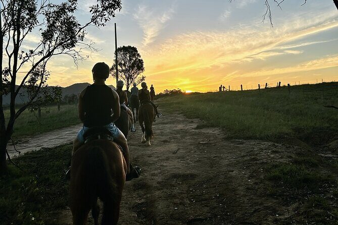 Hunter Valley Sunset Horse Ride - 90 Minutes - Final Thoughts: Who Should Book This Experience?
