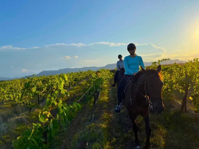 Hunter Valley: Sunset Horse Riding Tour 90min - Key Points