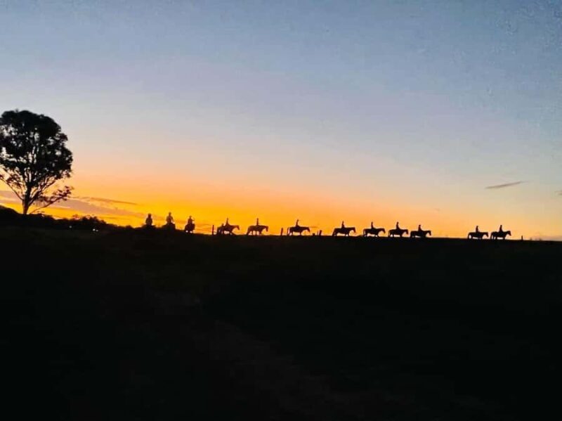 Hunter Valley: Sunset Horse Riding Tour 90min - An In-Depth Look at the Hunter Valley Sunset Horse Riding Tour