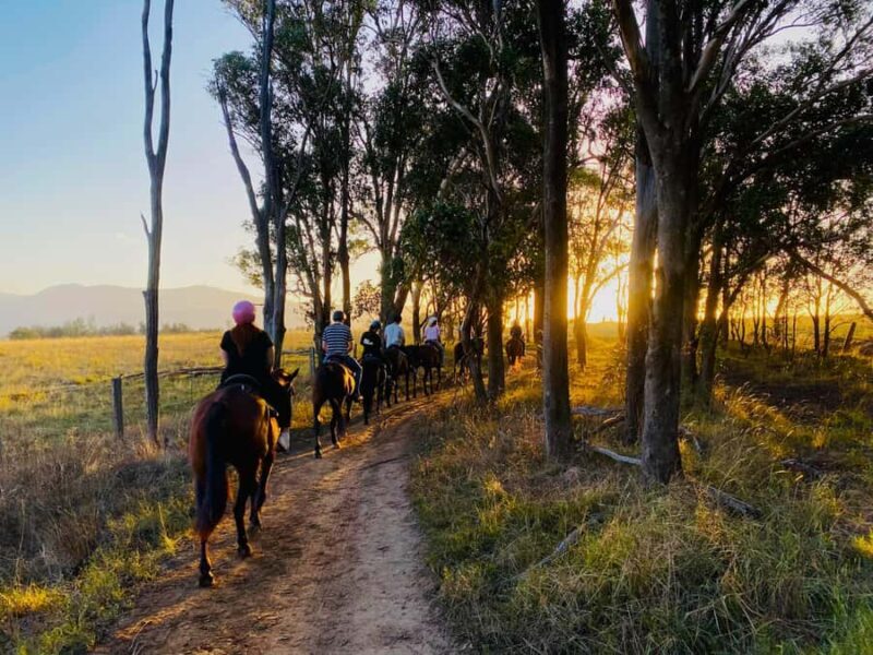 Hunter Valley: Sunset Horse Riding Tour 90min - Who Will Love This Tour?