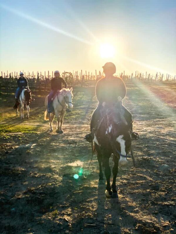 Hunter Valley: Sunset Horse Riding Tour 90min - The Sum Up