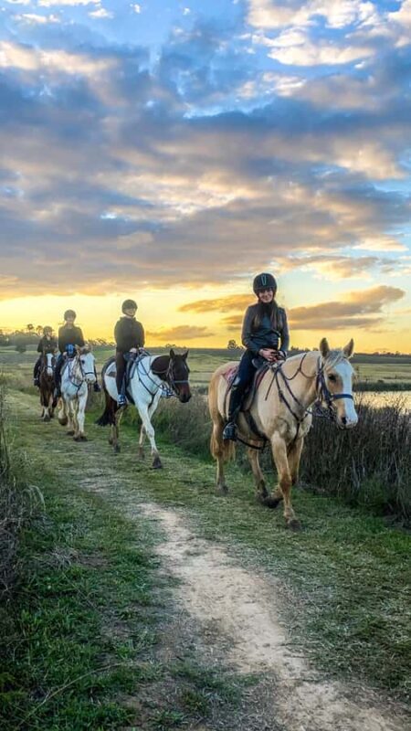 Hunter Valley: Sunset Horse Riding Tour 90min - FAQ