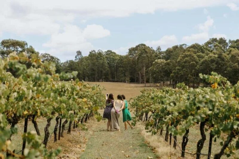 Hunter Valley: Tastes of the Hunter Half Day Tour - Key Points
