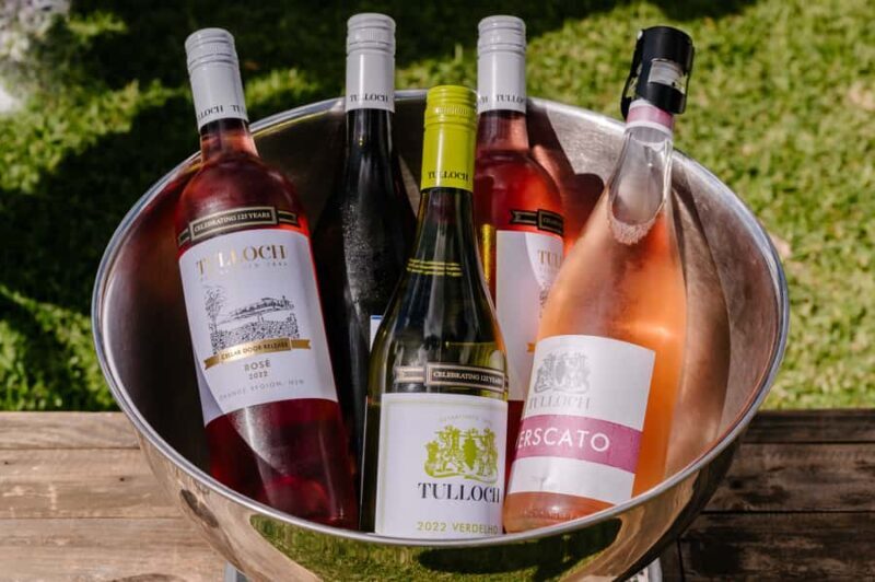 Hunter Valley: Tulloch Wines Mystery Wine & Cheese Tasting - The Sum Up: Is It Worth It?