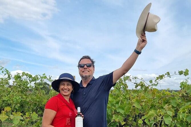 Hunter Valley Wine and Cheese Tasting Day Tour from Sydney - Starting the Day: Comfort and Convenience