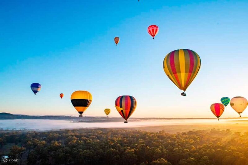 Hunter Valley Wine & Cheese Tasting Tour from Sydney - Frequently Asked Questions