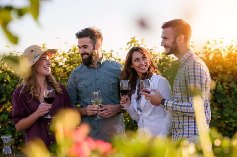 Hunter Valley: Wine, Chocolate and Lunch All Inclusive Tour - Practical Details: Value and Logistics