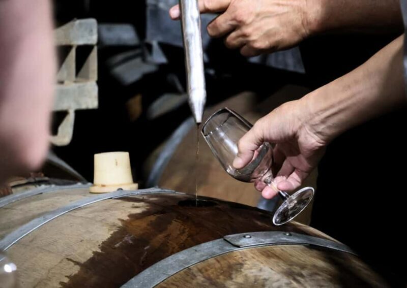 Hunter Valley: Wine, Chocolate and Lunch All Inclusive Tour - Who Will Enjoy This Tour?