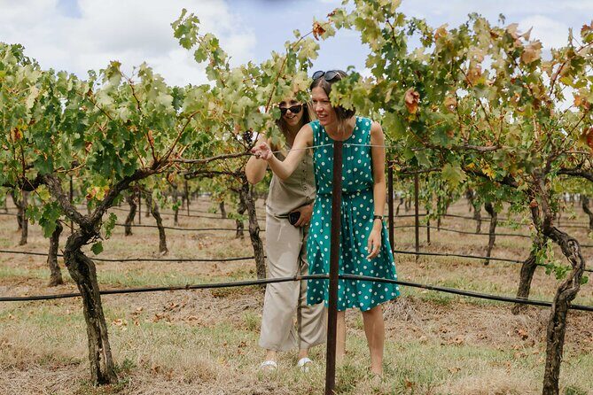 Hunter Valley Wine, Food & Vine Tour with Behind the Scenes - An In-Depth Look at the Itinerary