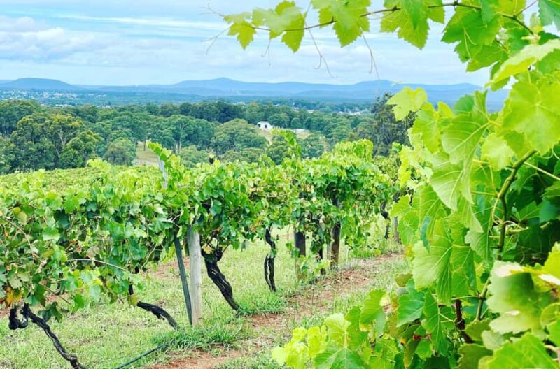 Hunter Valley Wine Tasting | Private Day Tour | From Sydney - FAQ