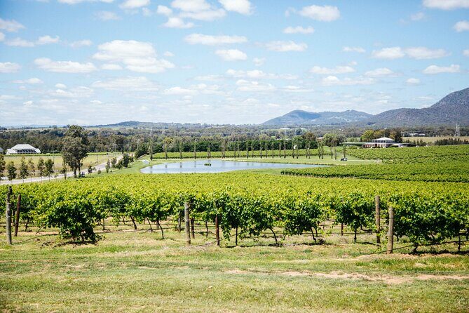 Hunter Valley Wine Tasting Tour from Sydney - An In-Depth Look at the Hunter Valley Wine Tasting Tour