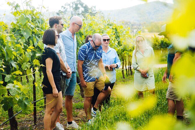 Hunter Valley Wine Tour ex Hunter Valley - Lunch, Cheese, Chocolate, Distillery - An In-Depth Look at the Experience