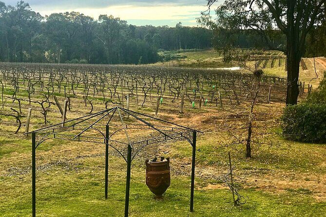 Hunter Valley Wine Tour from Sydney: 3 Wineries & Vineyard Picnic - FAQ