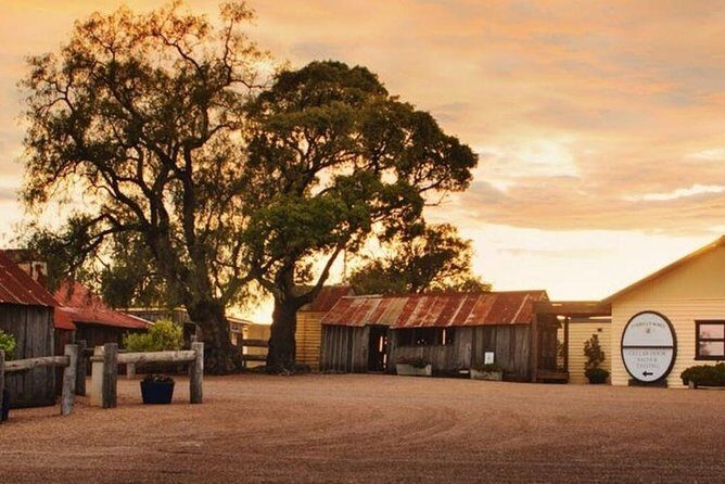 Hunter Valley Wine Tours | Wine Tasting Tours from Sydney - The Sum Up