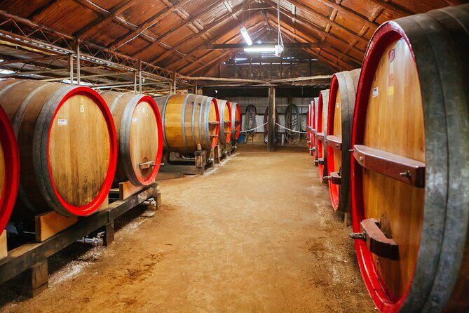 Hunter Valley Winery - Premium Tasting for Private Tours - Practical Tips