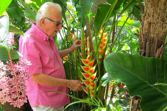 Hunte's Gardens - The Experience at a Glance