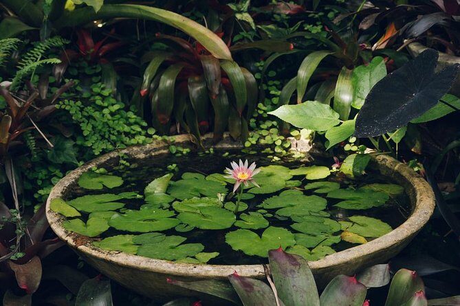 Hunte's Gardens - The Value and Practical Considerations