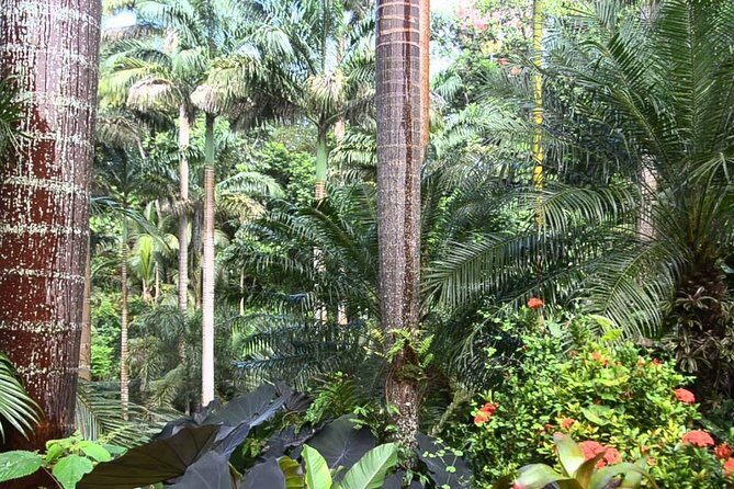 Hunte's Gardens - The Sum Up: The Perfect Peaceful Escape