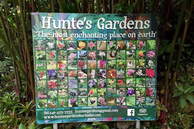 Hunte's Gardens - FAQs
