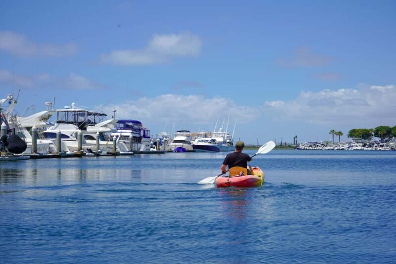 Huntington Beach Kayak Rental - What to Expect from Huntington Beach Kayak Rental