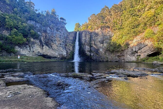Hunua Falls and Blue Springs (Te Waihou): Private Tour - Key Points