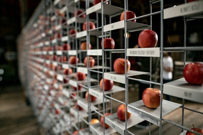 Huon Harvest (wine, cider & local produce) - An In-Depth Look at the Huon Harvest Tour