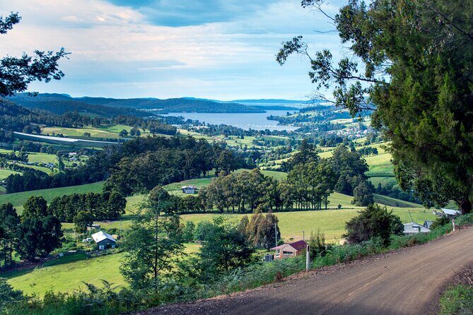 Huon Valley Private Tour - Ciders, Gins, Sheep's Cheese and Lunch - The Sum Up