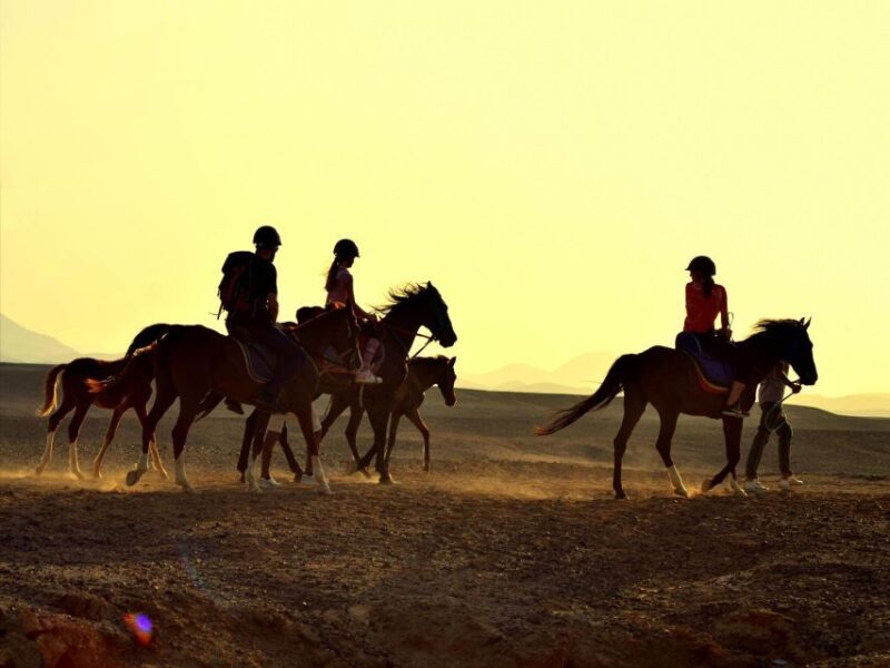 Hurghada: 4 Days Tour Horse, Camel, Spa, ATV, Jeep & Dolphin - Authentic Traveler Insights from Reviews