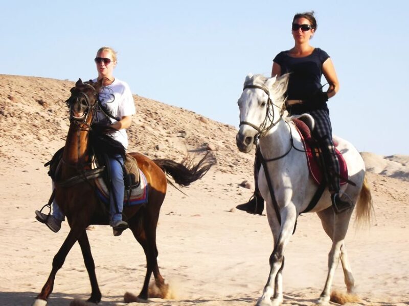 Hurghada: Arabian Desert and Sea Horseback Adventure - The Ride Through the Eyes of Past Travelers
