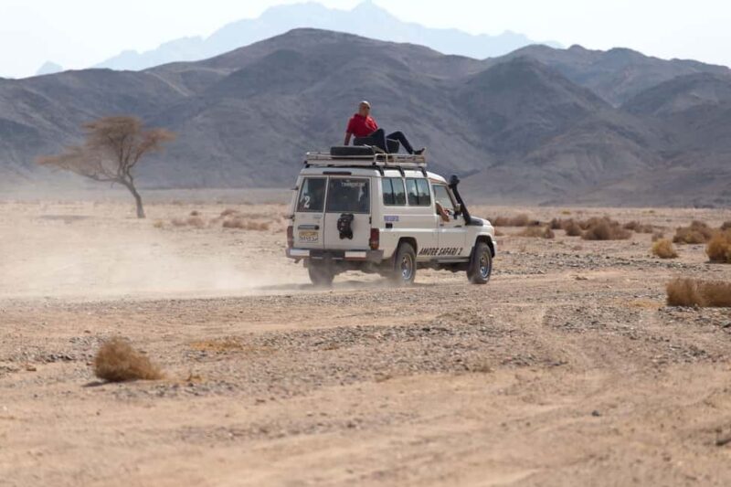Hurghada: ATV Quad, Jeep and Buggy Safari with BBQ Dinner - Key Points