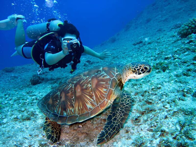 Hurghada: Beginners Scuba Diving Full-Day Boat Trip & Lunch - Why This Tour Offers Good Value