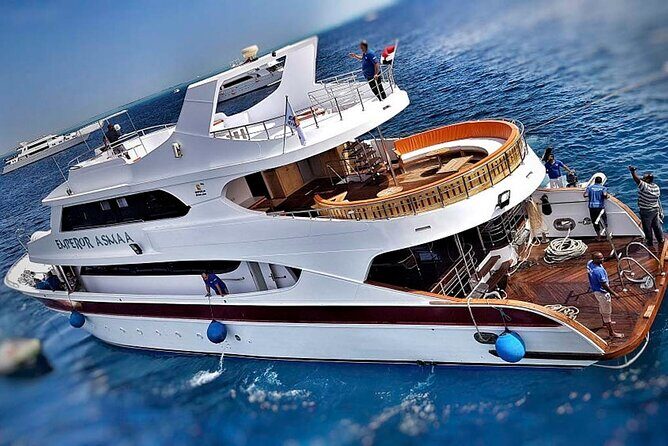 Hurghada Boat Trip to See Dolphins With Snorkeling and Lunch - What Travelers Are Saying