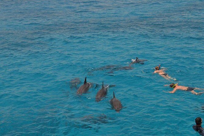 Hurghada Boat Trip to See Dolphins With Snorkeling and Lunch - Transportation and Group Size