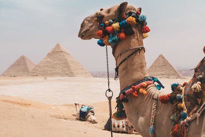 Hurghada: Cairo and Giza Highlights by mini Van with BBQ Lunch - Final Thoughts: Who Will Love This Tour?
