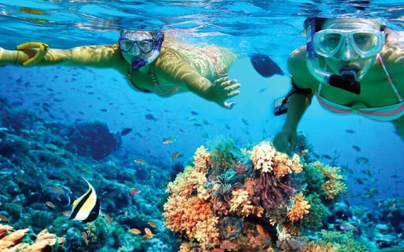 Hurghada: Day Snorkeling with Dolphins - What Does the Price Cover and Is It Worth It?
