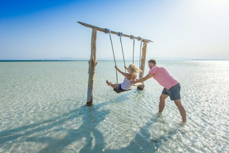 Hurghada: Day Snorkeling with Dolphins - Authentic Feedback and Insights