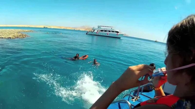 Hurghada: Day Snorkeling with Dolphins - Practical Tips for Future Travelers