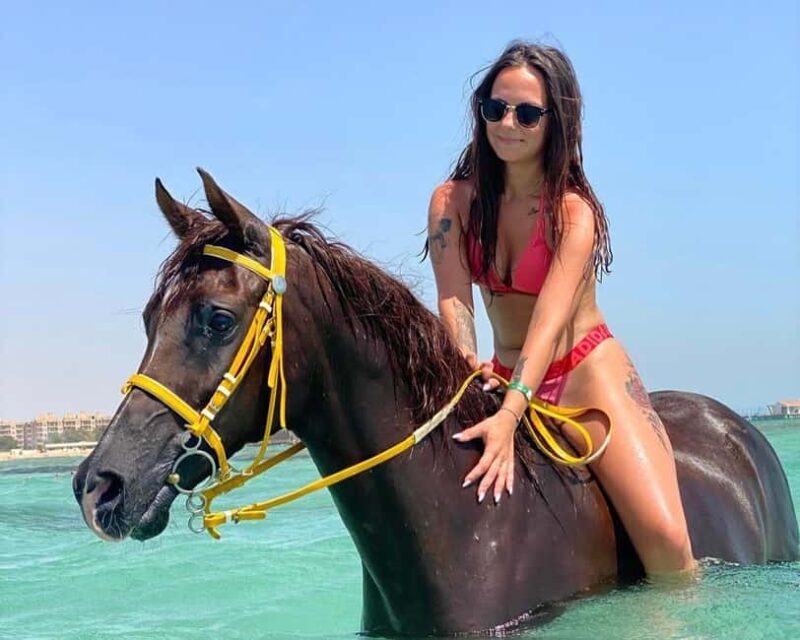 Hurghada: Desert and Beach Horse Riding Adventure - What to Expect from the Hurghada Horse Riding Tour