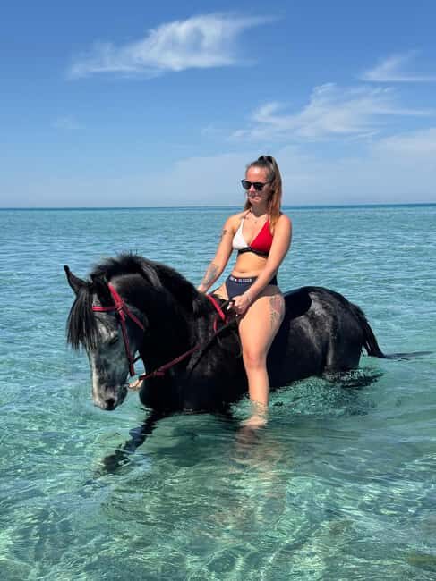 Hurghada: Desert and Beach Horse Riding Adventure - Detailed Breakdown of the Itinerary