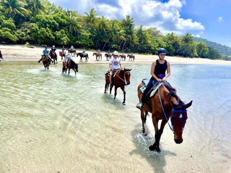 Hurghada: Desert and Sea Horseback Riding Tour with Transfer - Final Thoughts: Is This Tour Worth It?