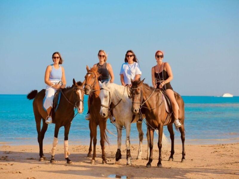 Hurghada: Desert and Sea Horseback Riding Tour with Transfer - FAQ