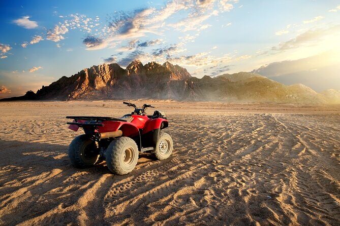 Hurghada Desert Escape Family Safari & Dinner Under the Stars - Key Points