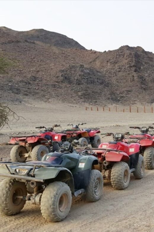 Hurghada Desert Safari: Quad Biking & Bedouin Village Visit. - A Closer Look at the Desert Adventure