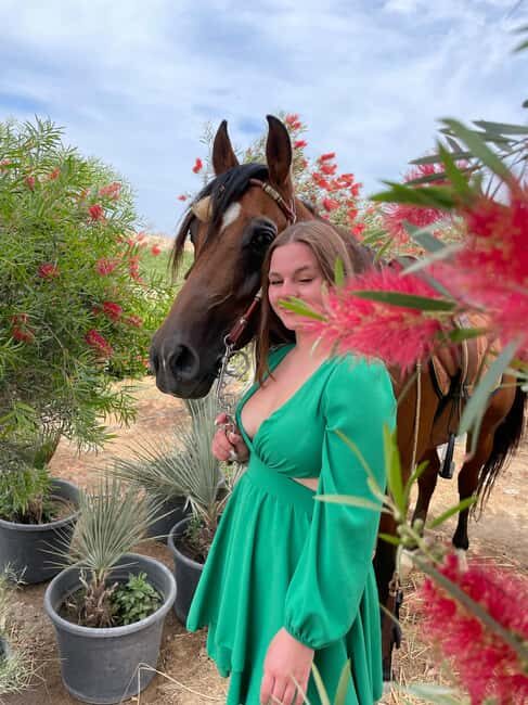 Hurghada: Desert & Sea Horse Riding with + 360° Photos - Key Points