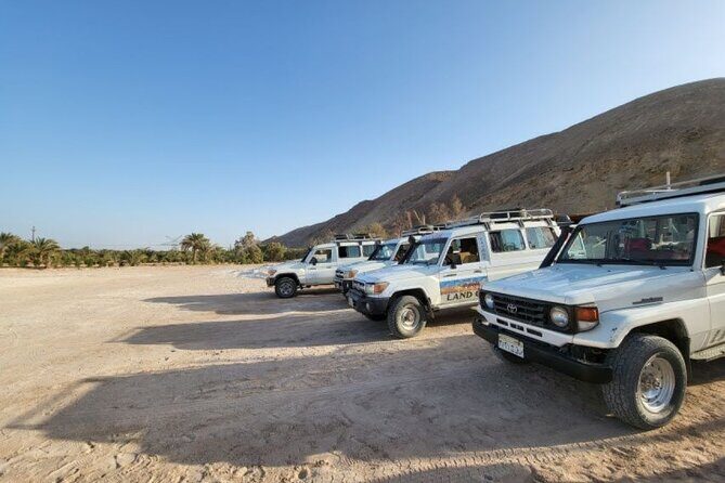 Hurghada Desert Tour by Jeep with Stargazing and Dinner - Why It Offers Good Value