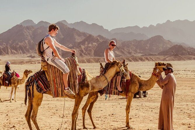 Hurghada Desert Tour by Jeep with Stargazing and Dinner - FAQ