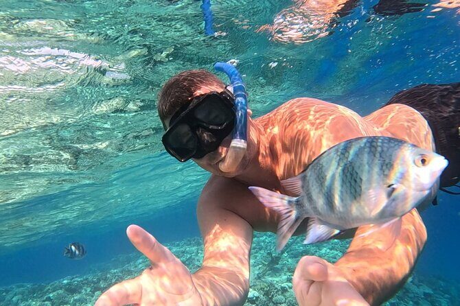 Hurghada Diving Adventure one Day with two Dives Boat Trip - Introduction: An Authentic Red Sea Experience for Certified Divers